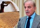 وزیراعظم کا کسانوں سے گندم کی فوری خریداری کا حکم