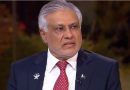 افغان سرزمین سے دہشتگردی کے سدباب کیلئے اقدامات ضروری ہیں: اسحاق ڈار